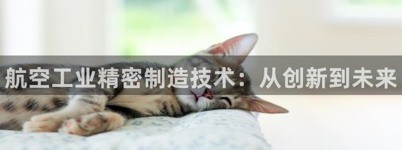 彩神v8下载app：航空工业精密制造技术：从创新到未来