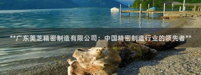 大发彩神最高邀请码：**广东美芝精密制造有限公司：中国精密制造行业的领先者**