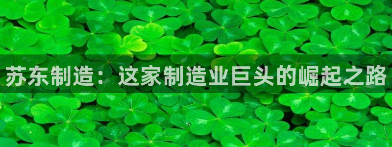 彩神v集团有限公司：苏东制造：这家制造业巨头的崛起之路