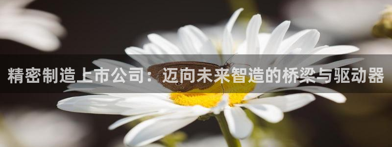 彩神v网赌软件下载：精密制造上市公司：迈向未来智造的桥梁与驱动器