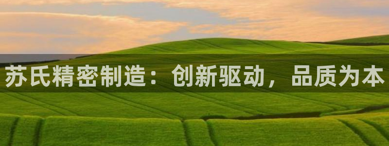 彩神购彩-购彩大厅入口500：苏氏精密制造：创新驱动，品质为本