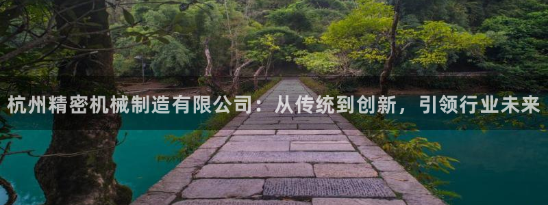 彩神vlll(中国)百度百科：杭州精密机械制造有限公司：从传统到创新，引领行业未来