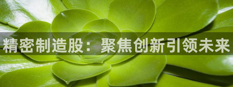 彩神v8手机客户端下载：精密制造股：聚焦创新引领未来