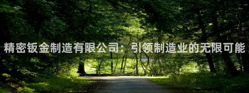 彩神的邀请码是多少：精密钣金制造有限公司：引领制造业的无限可能