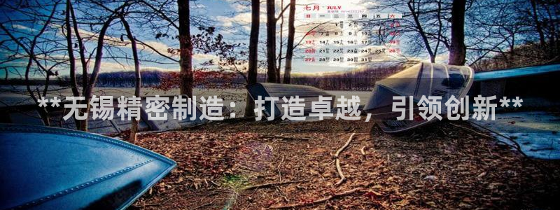 彩神ix可靠吗：**无锡精密制造：打造卓越，引领创新**