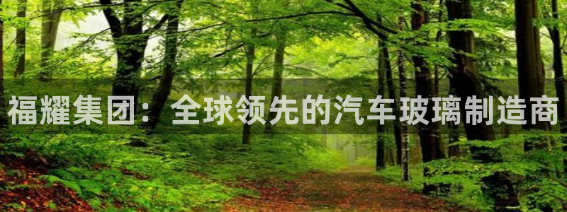 彩神合法吗.是国家认可的吗：福耀集团：全球领先的汽车玻璃制造商