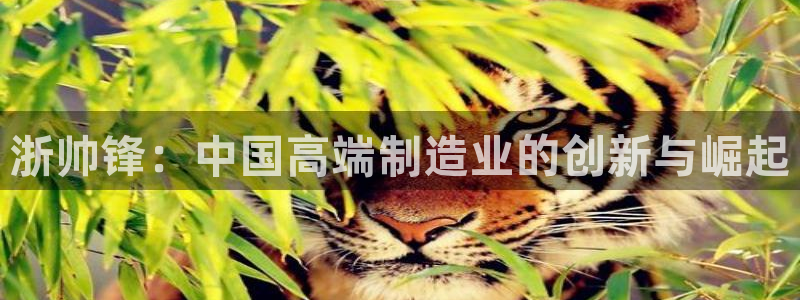 彩神ⅴll是什么样平台：浙帅锋：中国高端制造业的创新与崛起