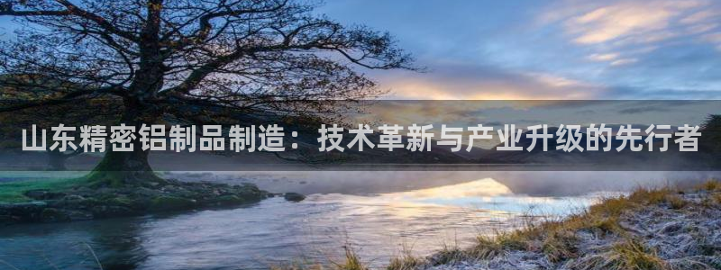 彩神正规吗：山东精密铝制品制造：技术革新与产业升级的先行者