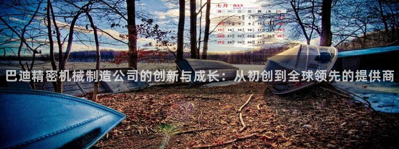 彩神平台可以破解吗：巴迪精密机械制造公司的创新与成长：从初创到全球领先的提供商