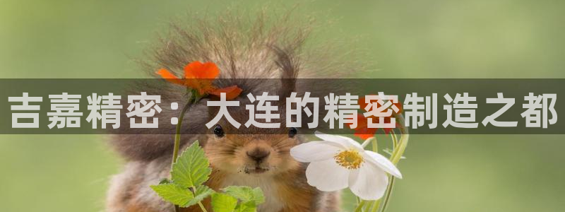 彩神赢的钱是哪里来的：吉嘉精密：大连的精密制造之都