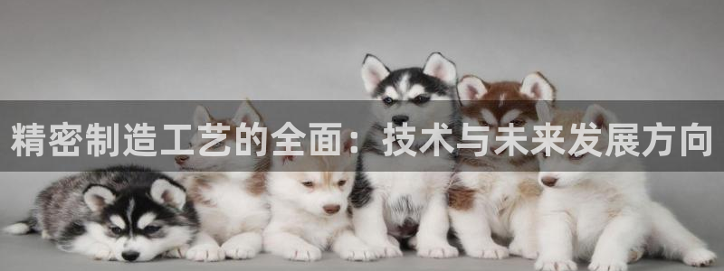 彩神V8有限公司：精密制造工艺的全面：技术与未来发展方向