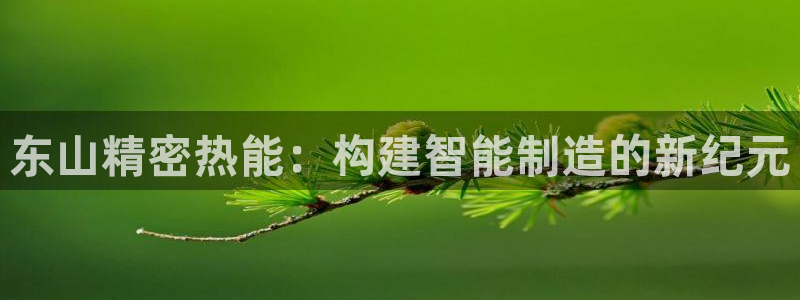 彩神平台能提现吗：东山精密热能：构建智能制造的新纪元