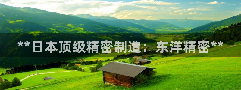 彩神是怎样一个平台赚钱的：**日本顶级精密制造：东洋精密**