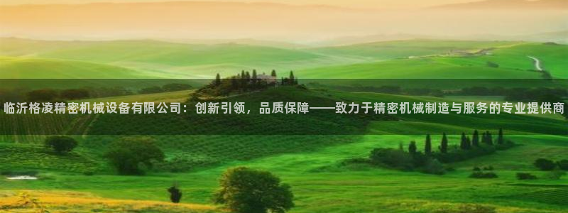 彩神新微聊：临沂格凌精密机械设备有限公司：创新引领，品质保障——致力于精密机械制造与服务的专业提供商