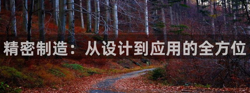 彩神8软件下载：精密制造：从设计到应用的全方位