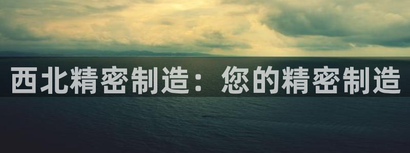 彩神购彩-购彩大厅入口下载：西北精密制造：您的精密制造