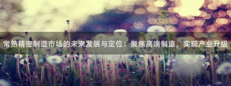 彩神v8是一个什么平台：常熟精密制造市场的未来发展与定位：聚焦高端制造，实现产业升级