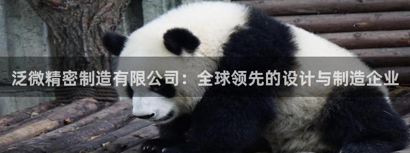 彩神购彩-购彩大厅入口老版：泛微精密制造有限公司：全球领先的设计与制造企业