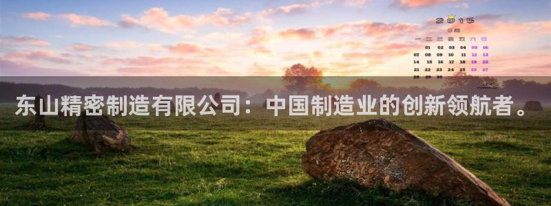 v大发彩神8iii：东山精密制造有限公司：中国制造业的创新领航者。