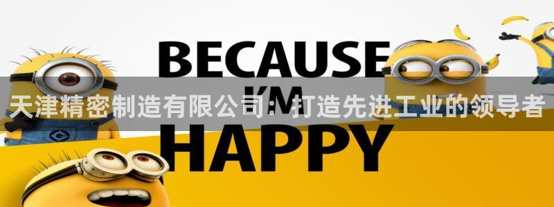 彩神合法吗.是国家认可的吗：天津精密制造有限公司：打造先进工业的领导者