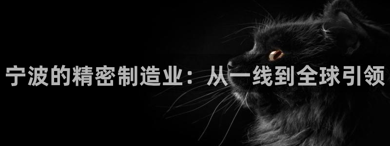 彩神viii是正规平台吗?：宁波的精密制造业：从一线到全球引领