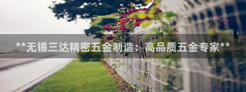 彩神v平台：**无锡三达精密五金制造：高品质五金专家**