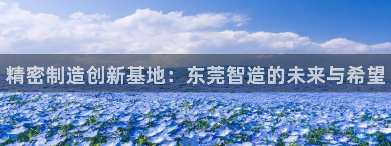 彩神app能挣到钱吗：精密制造创新基地：东莞智造的未来与希望