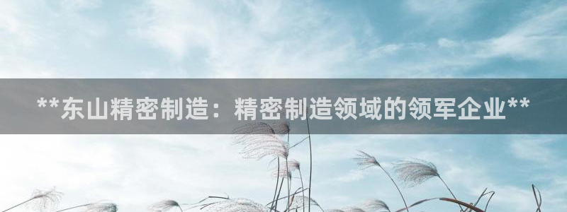 彩神8软件下载：**东山精密制造：精密制造领域的领军企业**