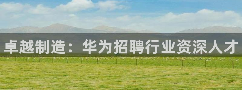 彩神v|：卓越制造：华为招聘行业资深人才