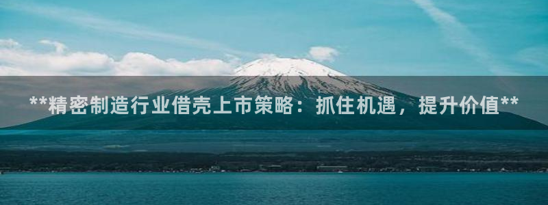 大发彩神最高邀请码：**精密制造行业借壳上市策略：抓住机遇，提升价值**