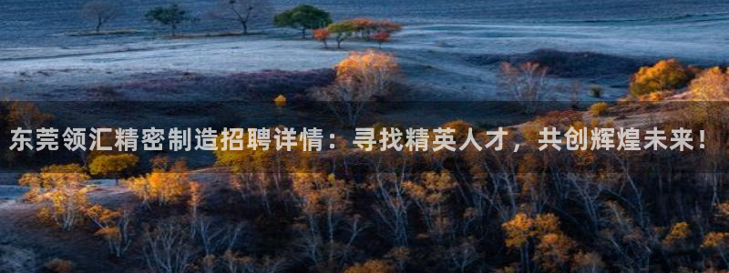 彩神v8手机客户端怎么下载：东莞领汇精密制造招聘详情：寻找精英人才，共创辉煌未来！